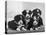 Scotch Bearded Collie Four Unidentified Puppies Owned by Willison-Thomas Fall-Premier Image Canvas