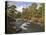 Scots Pine Forest and Lui Water, Deeside, Cairngorms National Park, Aberdeenshire, Scotland, UK-Gary Cook-Premier Image Canvas
