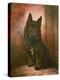 Scottie Puppy-Lilian Cheviot-Premier Image Canvas