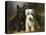 Scottish and a Sealyham Terrier-Lilian Cheviot-Premier Image Canvas
