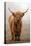 Scottish Highland Cow-Franz Peter Rudolf-Premier Image Canvas