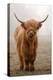 Scottish Highland Cow-Franz Peter Rudolf-Premier Image Canvas