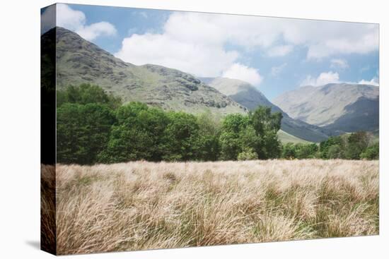 Scottish Highlands III-Laura Marshall-Premier Image Canvas