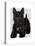 Scottish Terrier and Bow-Fab Funky-Stretched Canvas