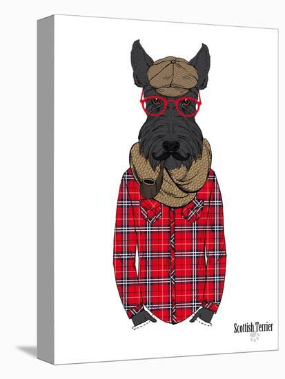 Scottish Terrier in Pin Plaid Shirt-Olga Angellos-Stretched Canvas