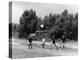 Scouts Playing Football-null-Premier Image Canvas