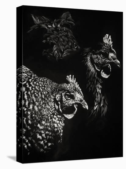 Scratchboard Skeptics-Julie Chapman-Stretched Canvas