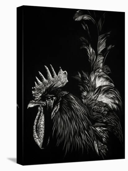 Scratchboard Tyrant-Julie Chapman-Stretched Canvas