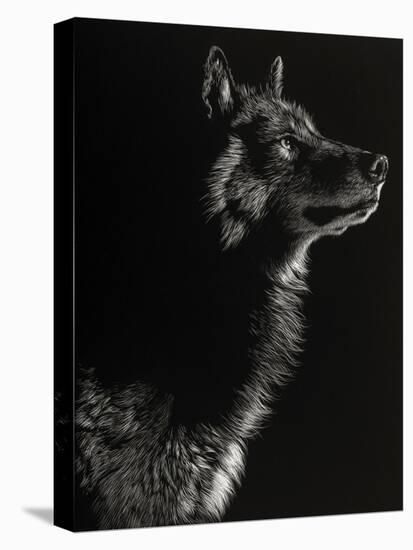 Scratchboard Wolf II-Julie Chapman-Stretched Canvas