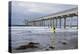 Scripps Pier I-Lee Peterson-Premier Image Canvas