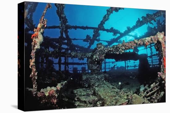 Scuba Diver Diving on Umbria Shipwreck, Sudan, Africa, Red Sea, Wingate Reef-Reinhard Dirscherl-Premier Image Canvas
