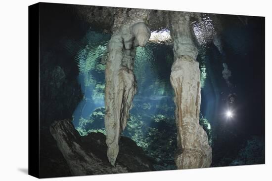 Scuba Diver in Gran Cenote, Tulum, Yucatan Peninsula, Mexico. Model Release-Reinhard Dirscherl-Premier Image Canvas