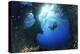 Scuba Diver Swimming through an Arch-Bernard Radvaner-Premier Image Canvas