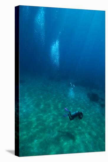 Scuba Diving-Matthew Oldfield-Premier Image Canvas