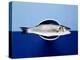 Sea Bass in a Bowl-Luzia Ellert-Premier Image Canvas