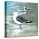 Sea Birds I-Gregory Gorham-Stretched Canvas