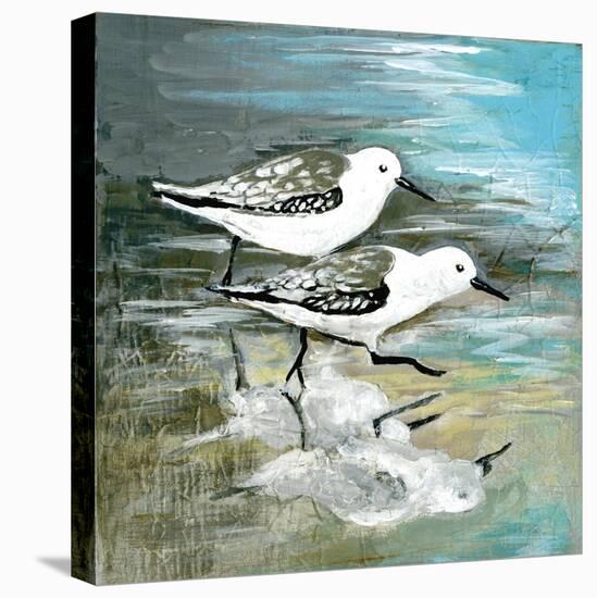 Sea Birds II-Gregory Gorham-Stretched Canvas