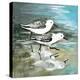 Sea Birds II-Gregory Gorham-Stretched Canvas