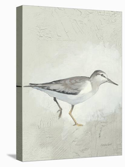 Sea Birds III-Kathrine Lovell-Stretched Canvas