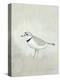 Sea Birds IV-Kathrine Lovell-Stretched Canvas