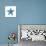 Sea Blue Starfish-Crystal Smith-Stretched Canvas displayed on a wall