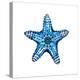 Sea Blue Starfish-Crystal Smith-Stretched Canvas