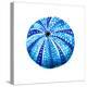 Sea Blue Urchin-Crystal Smith-Stretched Canvas