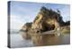 Sea Caves and Waterfall at Hug Point, Hug Point State Park, Oregon, USA-Jamie & Judy Wild-Premier Image Canvas