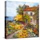 Sea Cottage-Carson-Stretched Canvas