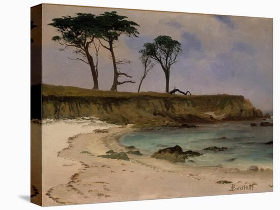 Sea Cove, c.1880-90-Albert Bierstadt-Premier Image Canvas