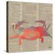 Sea Creatures on Newsprint I-Julie DeRice-Stretched Canvas