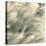 Sea Dune I-Adam Brock-Stretched Canvas