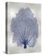 Sea Fan Indigo Blue II-Melonie Miller-Stretched Canvas