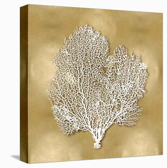 Sea Fan on Gold II-Caroline Kelly-Stretched Canvas