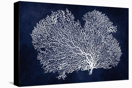 Sea Fan on Indigo Blue II-Melonie Miller-Stretched Canvas