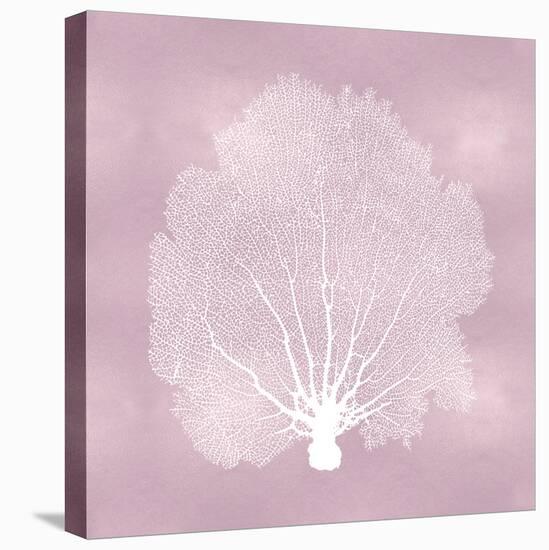 Sea Fan on Pink Blush II-Melonie Miller-Stretched Canvas