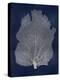 Sea Fan Silver on Blue I-Melonie Miller-Stretched Canvas