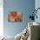 Sea Fan-Caroline Ashwood-Stretched Canvas displayed on a wall