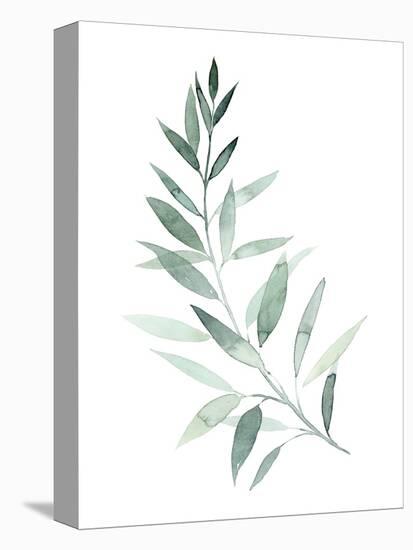 Sea Glass Sprig I-Grace Popp-Stretched Canvas