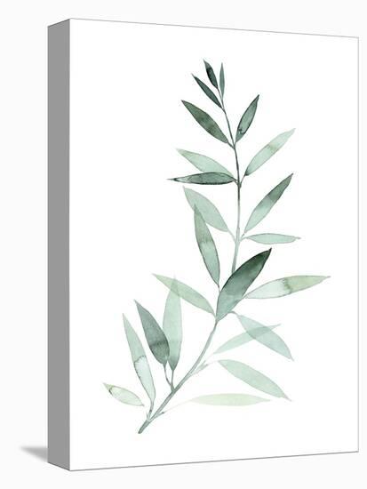 Sea Glass Sprig II-Grace Popp-Stretched Canvas