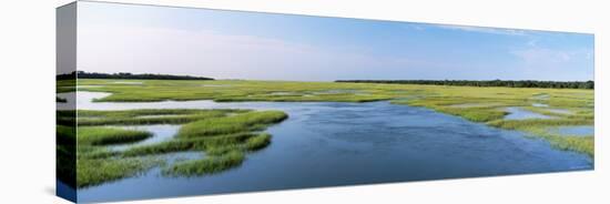 Sea Grass in the Sea, Atlantic Coast, Jacksonville, Florida, USA-null-Premier Image Canvas