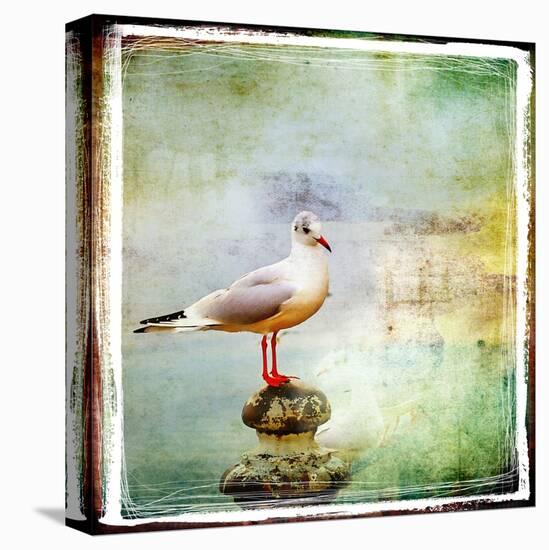 Sea Gull-Artistic Retro Styled Picture-Maugli-l-Stretched Canvas
