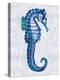 Sea Horse II-Melonie Miller-Stretched Canvas