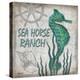 Sea Horse Ranch-Todd Williams-Stretched Canvas