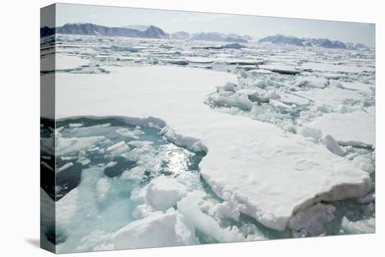 Sea Ice Surrounding Islands-DLILLC-Premier Image Canvas