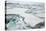 Sea Ice Surrounding Islands-DLILLC-Premier Image Canvas