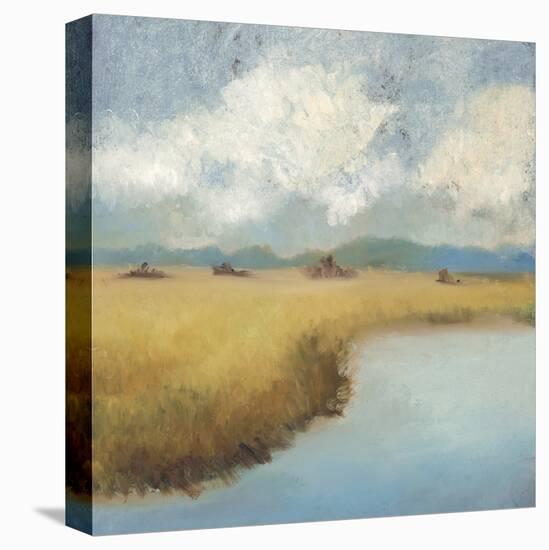Sea Island Lowcountry-Adam Rogers-Stretched Canvas