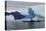 Sea Kayaking Among Icebergs, Laguna San Rafael NP, Aysen, Chile-Fredrik Norrsell-Premier Image Canvas