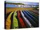 Sea Kayaks, Fisherman Bay, Lopez Island, Washington, USA-Charles Gurche-Premier Image Canvas