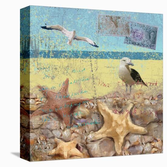 Sea Life 01-Rick Novak-Stretched Canvas